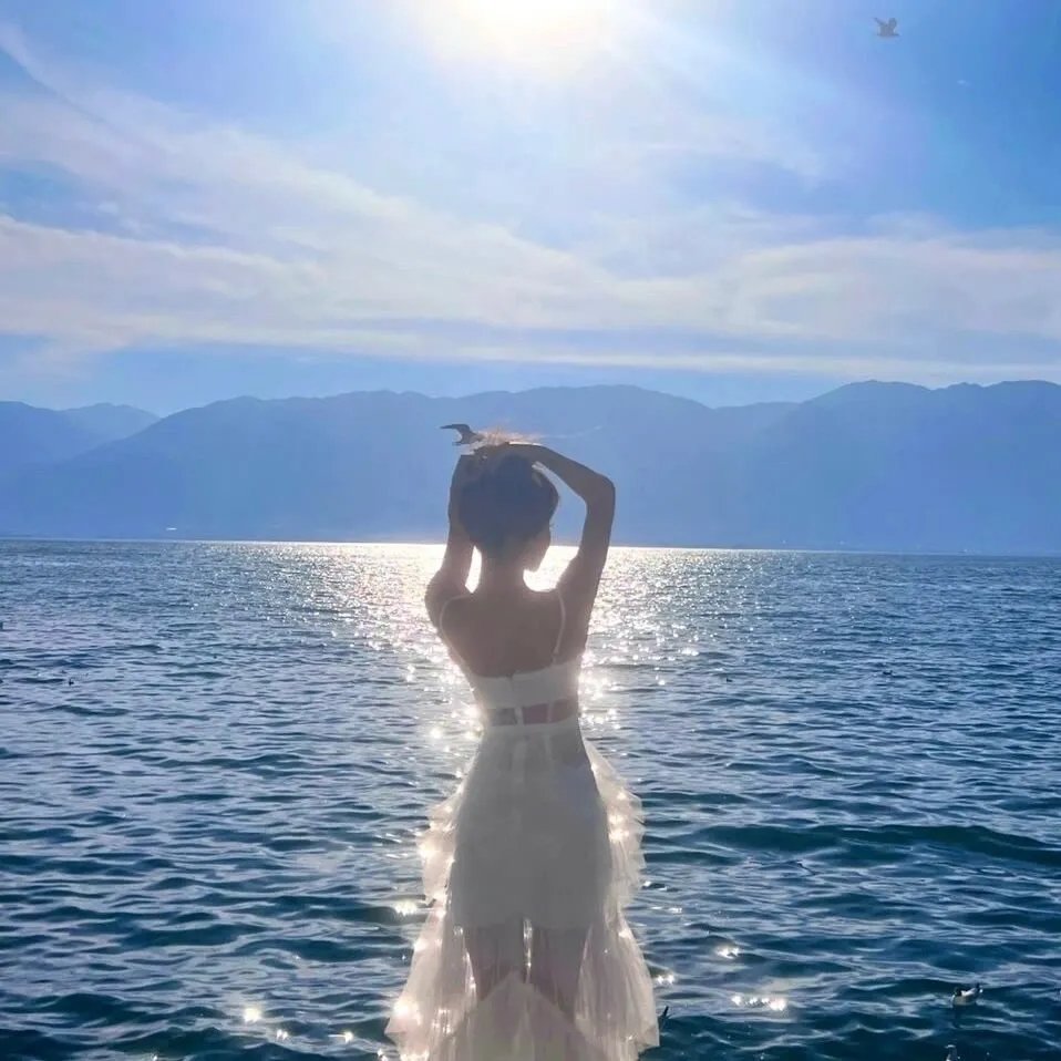 空中浩劫第二十四季
